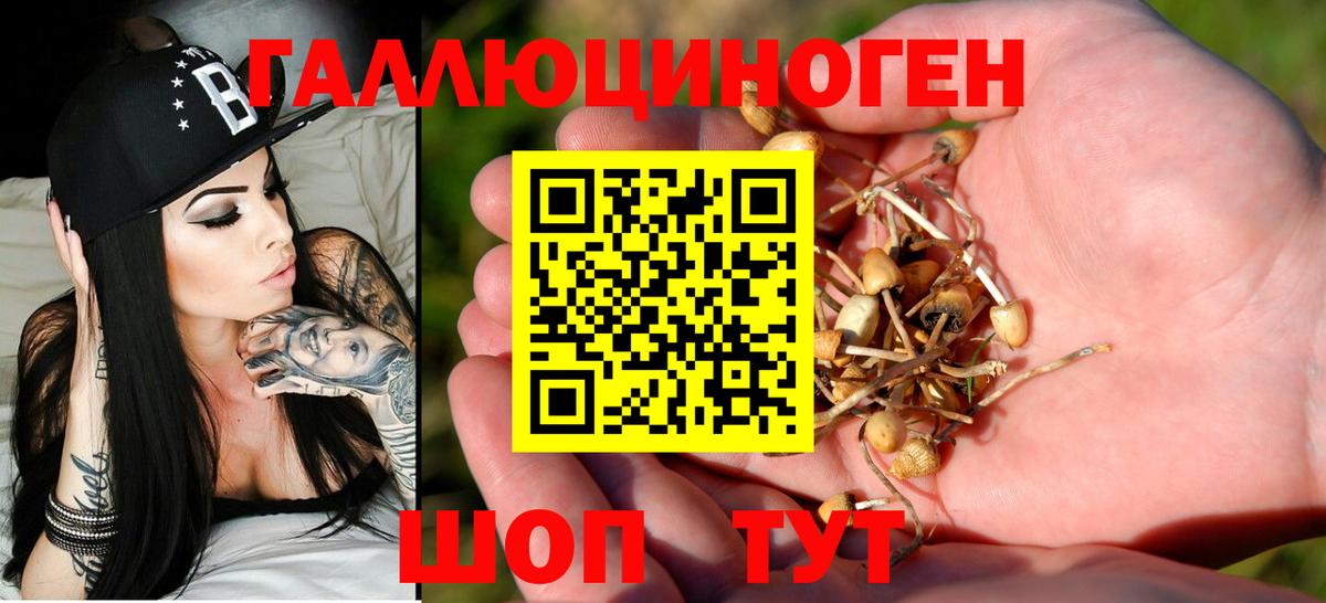 купить наркотик  Псилоцибиновые грибы Psilocybe  Вход с VPN  Воркута 